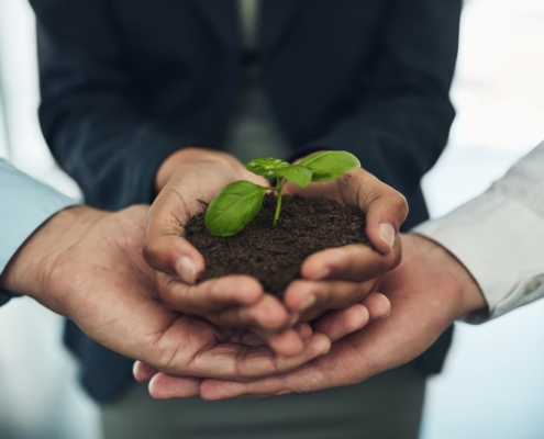 Collaboration,,Hands,And,Business,People,With,Plant,In,Soil,For